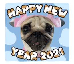 366070876