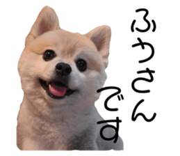 366073990