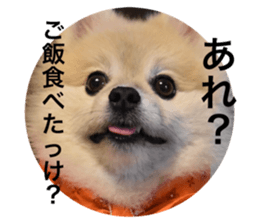 366073999