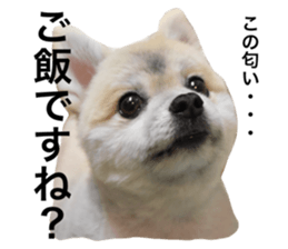 366074000