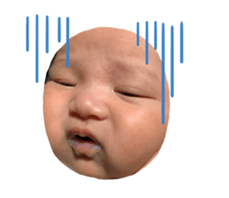 366087166