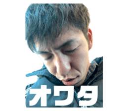 366131841