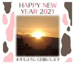 366228591