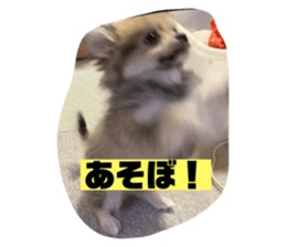 366237471