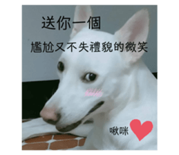 366270422