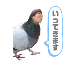 366324752