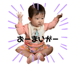 366334337