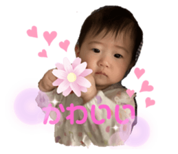 366334339