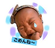 366334448