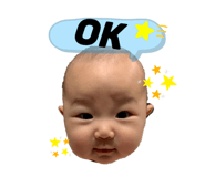 366334451