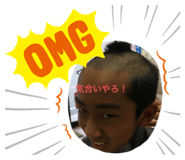 366346640