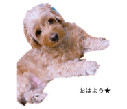366360094