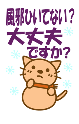 366364675