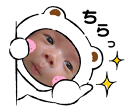 366382593