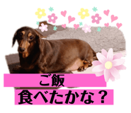 366383049