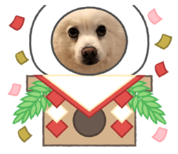 366386841