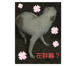 366401429