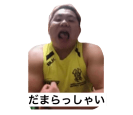 366432008