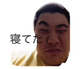 366432021