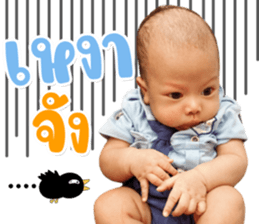 366442437