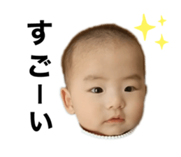 366468072