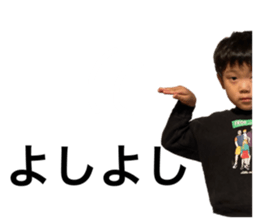 366481091
