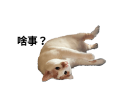 366488510