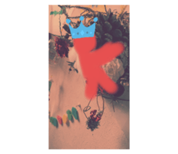 366506163