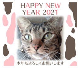 366520101