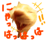 366520241