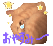 366520249