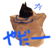 366520251
