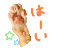 366520252