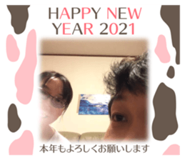 366550116