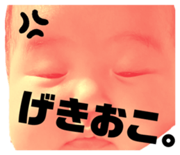 366584710