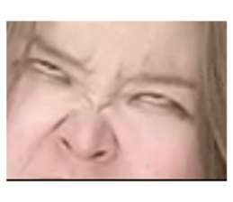366585198