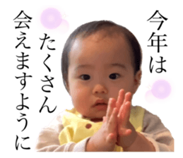 366588241