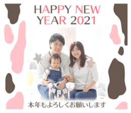 366597542
