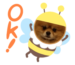 366601475