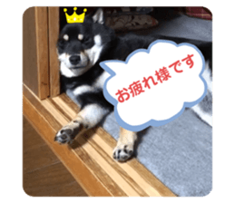 366605367