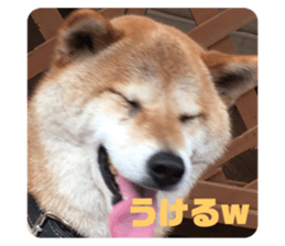 366614825