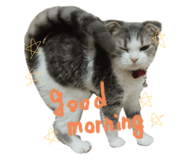 366623430