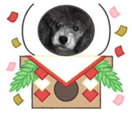 366624648