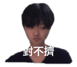 366626524