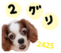 366629111