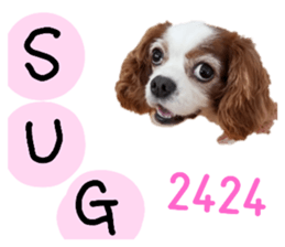 366629112