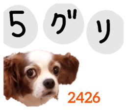 366629114