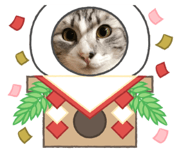 366668289