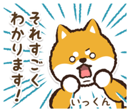 366693356
