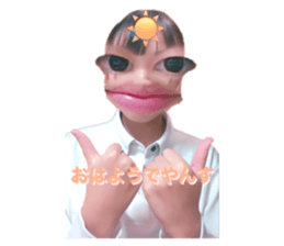 366694520